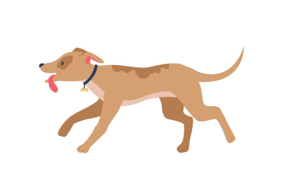 Download Running Happy Houd in Collar - Happy Collection